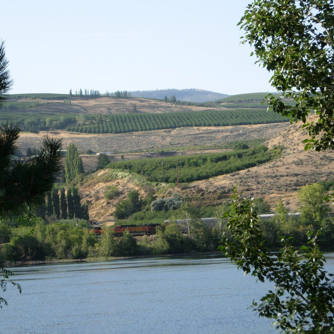 Columbia Valley vineyards