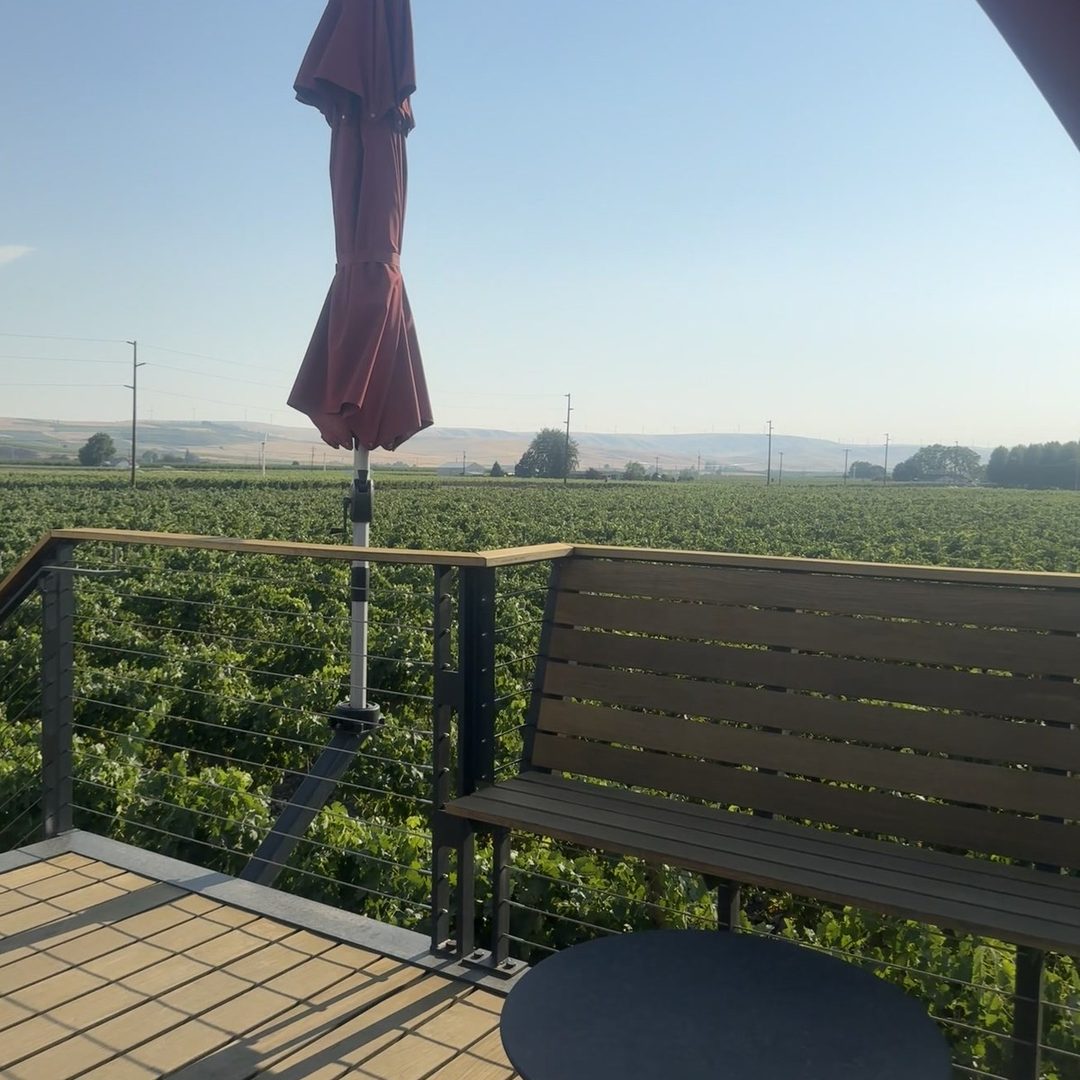 Wahluke Slope vineyards