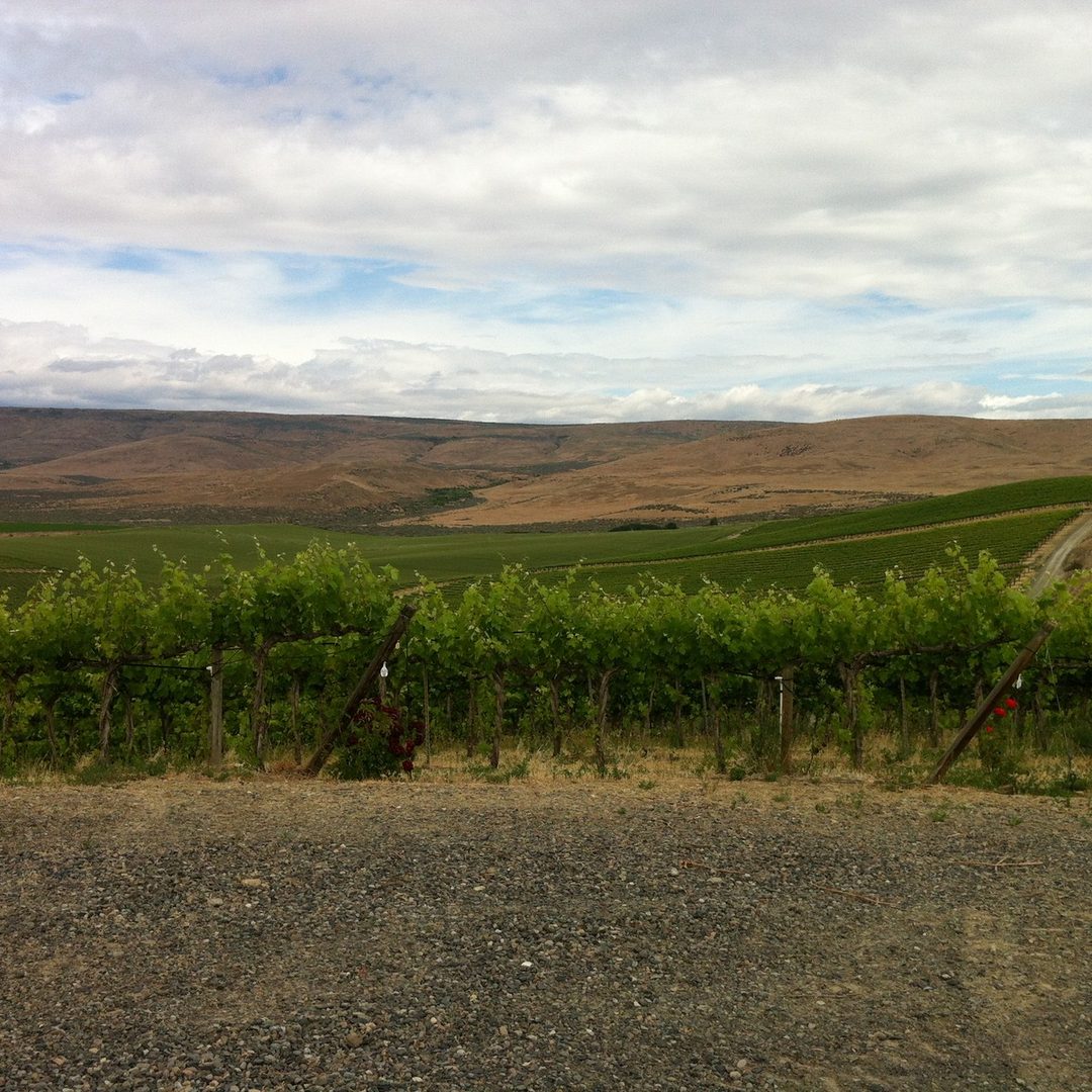 Yakima Valley vineyards