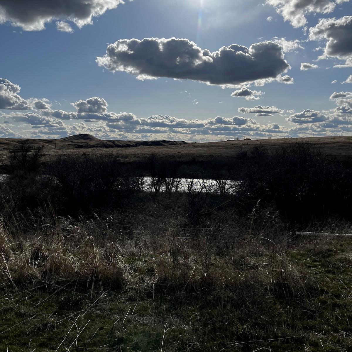 Open Palouse ground before the ditch