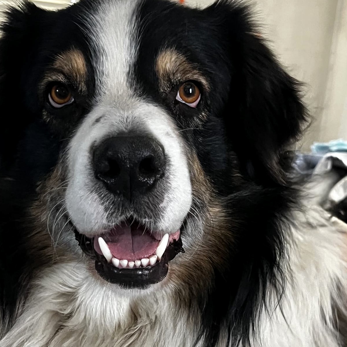 Jack now, close up